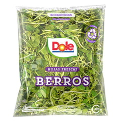 VERDURAS - Berros Envasado 200 g