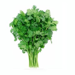 VERDURAS - Cilantro