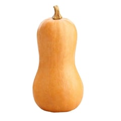 VERDURAS - Zapallo Butternut