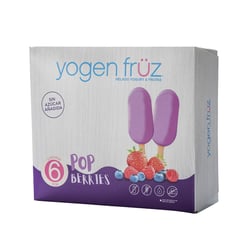 YOGEN FRUZ - PACK MIX BERRIES (66X6)