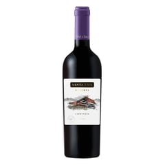 SANTA EMA - Vino Tinto Carmenere Reserva 13° 750 ml